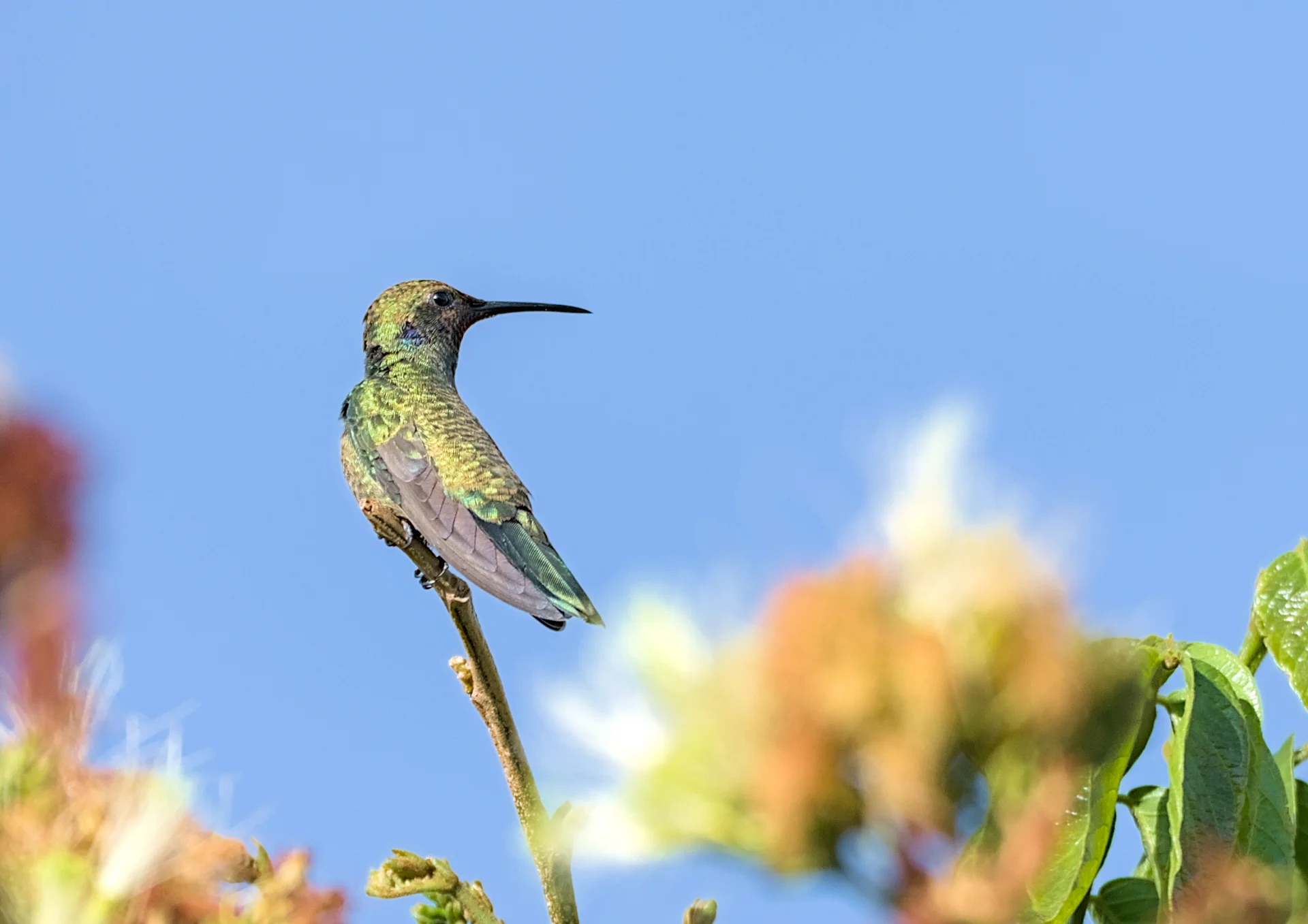 Fotografía capturada con Captura sin metadatos disponibles