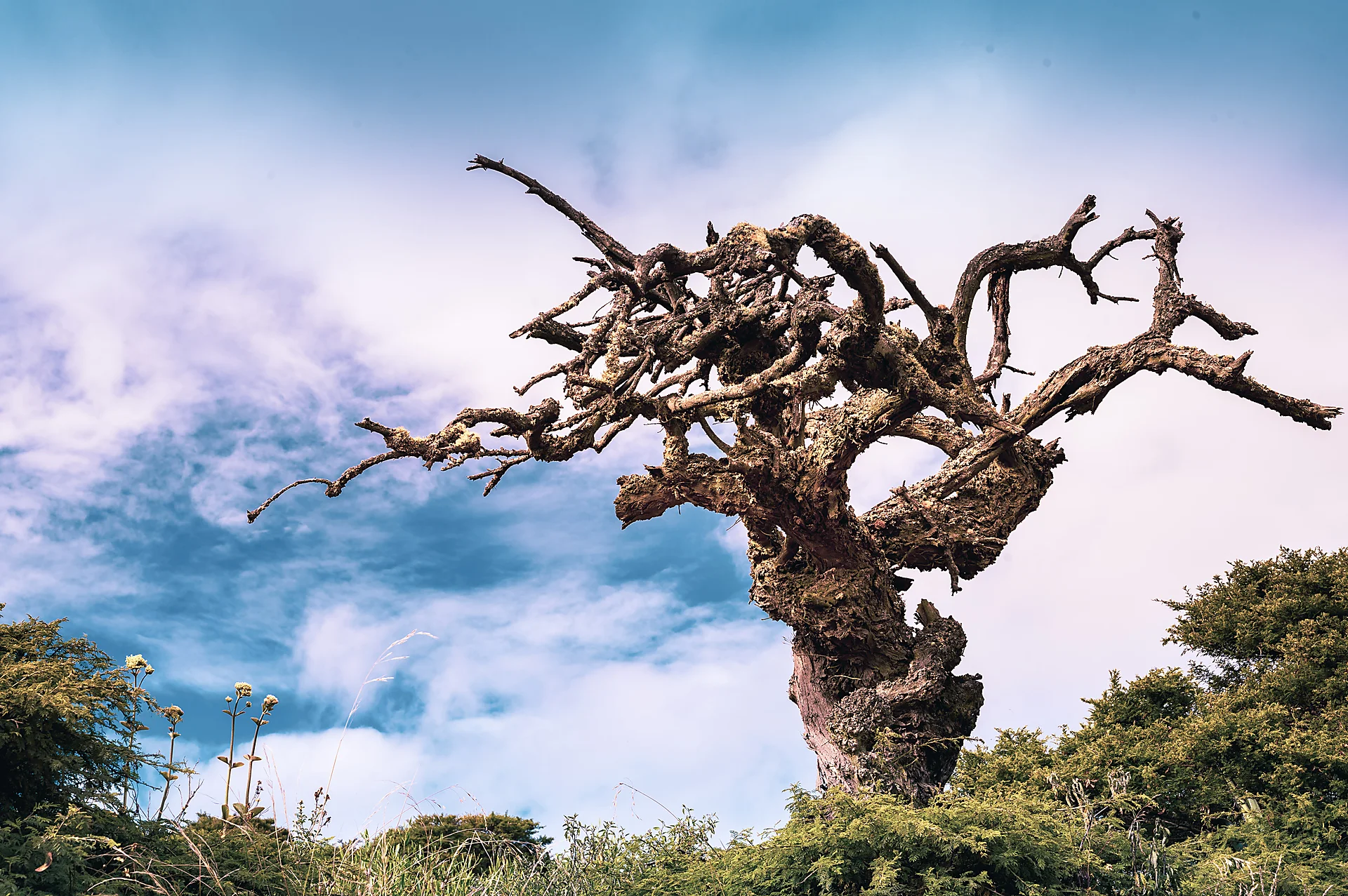 Fotografía de Espacios - Portafolio Rubén Zavala Fotografía. Equipo: NIKON Z 6 | NIKKOR Z 24-70mm f/4 S | f/11.0 | 1/80s | ISO 100