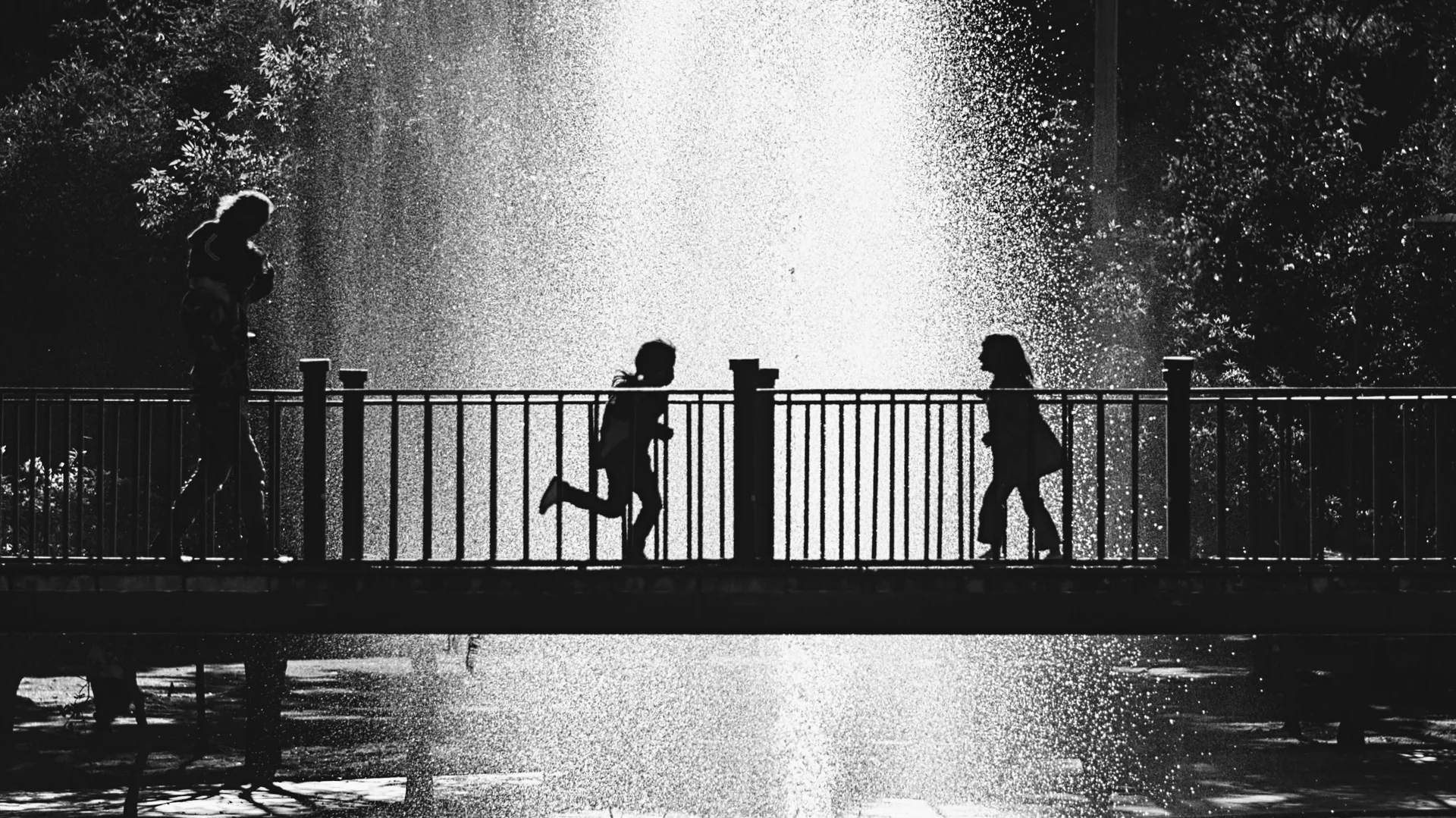 Fotografía capturada con Captura sin metadatos disponibles