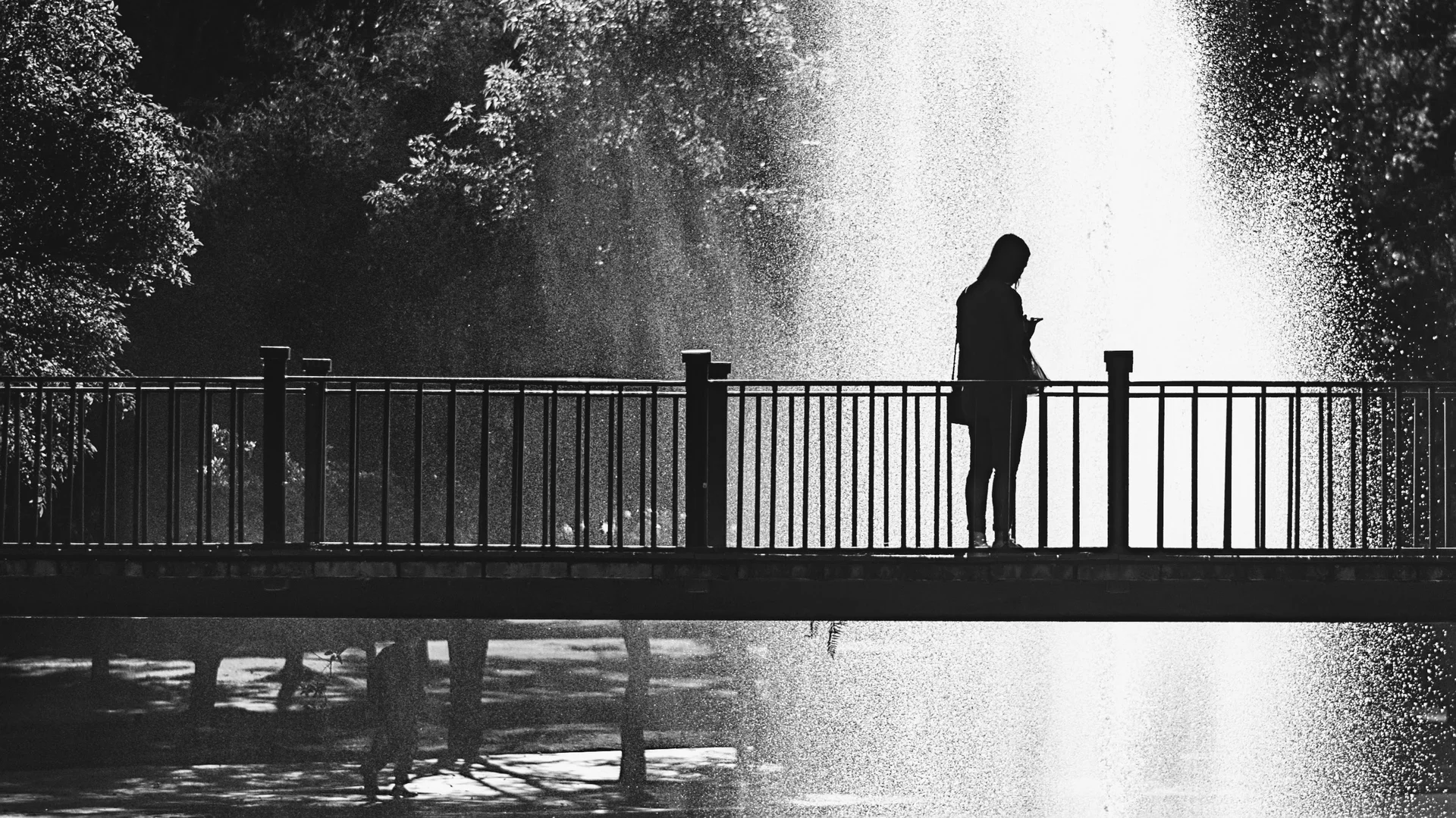 Fotografía capturada con Captura sin metadatos disponibles