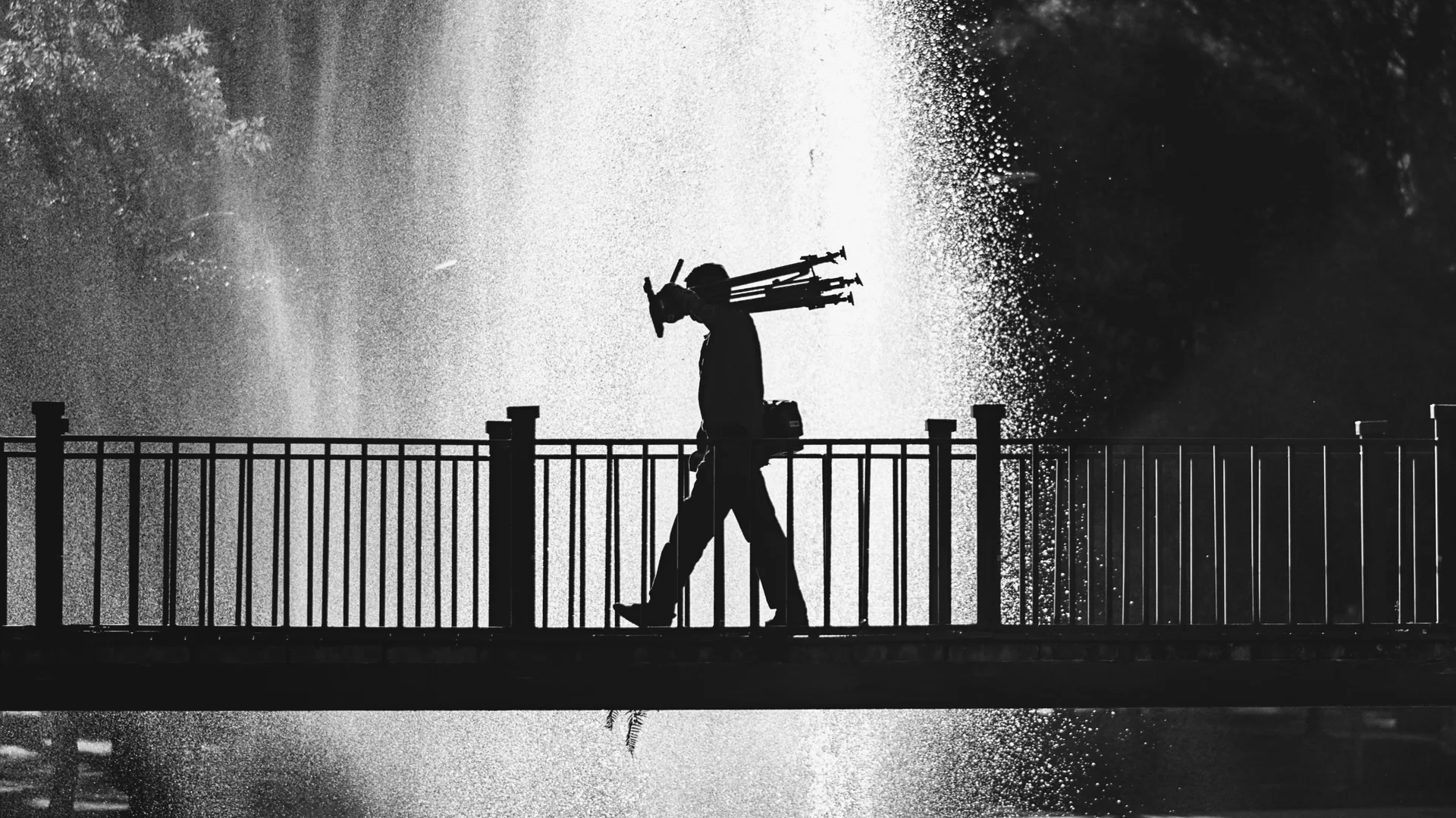 Fotografía capturada con Captura sin metadatos disponibles