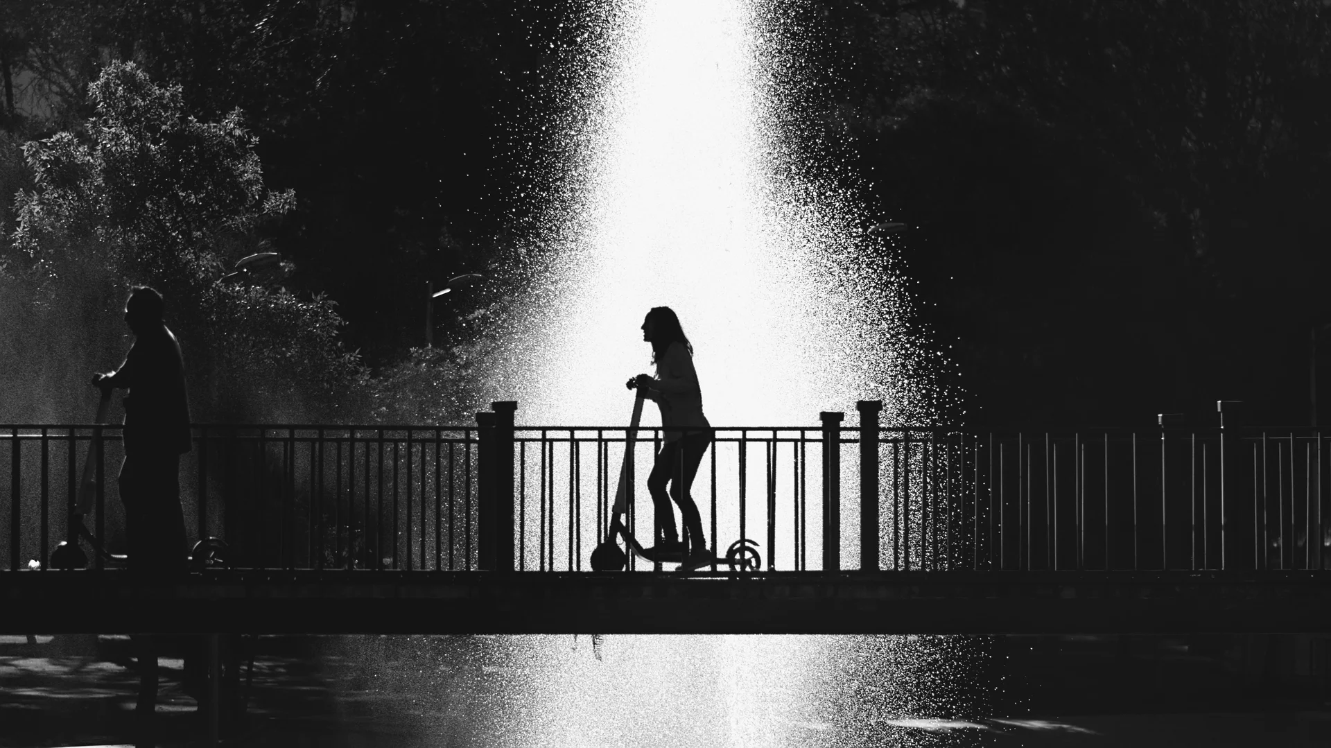 Fotografía capturada con Captura sin metadatos disponibles