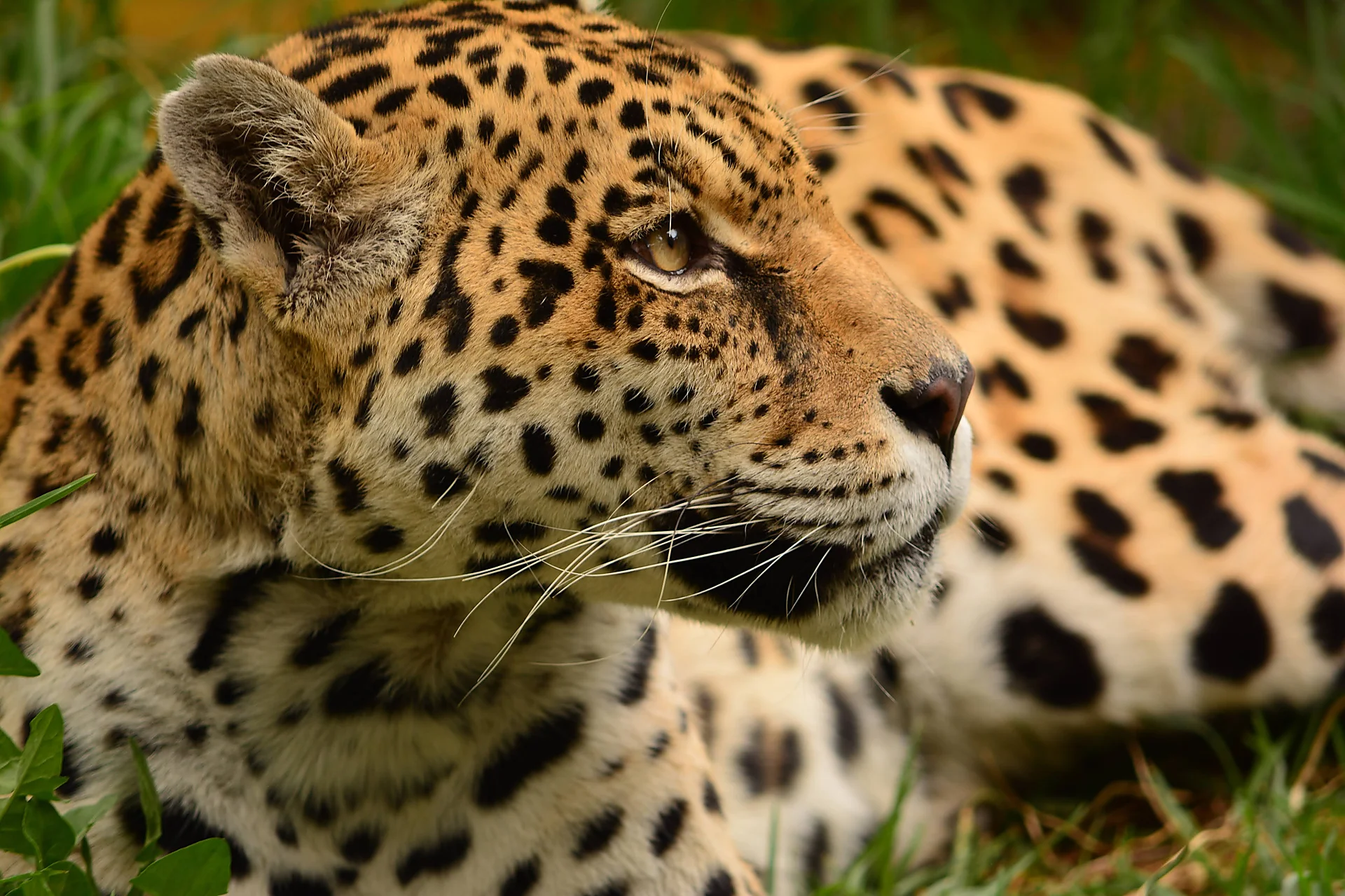 Fotografía de Vida - Portafolio Rubén Zavala Fotografía. Equipo: NIKON D7100 | f/5.6 | 1/160s | ISO 200